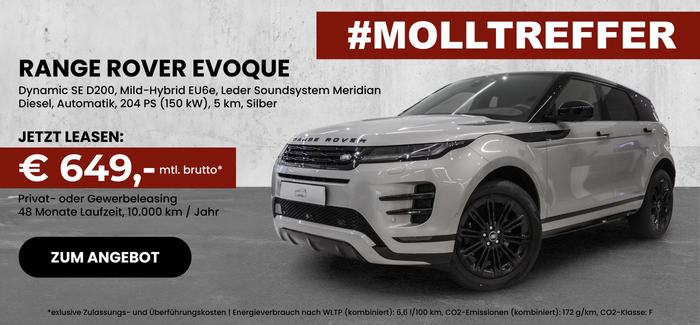 Rover Range Rover Evoque